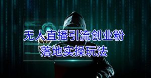 外面收费3980的无人直播引流创业粉落地实操玩法,单日引100+精准创业粉-网创资源吧