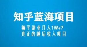 知乎蓝海玩法,躺平副业月入1W+,真正的睡后收入项目(6节视频课)-网创资源吧