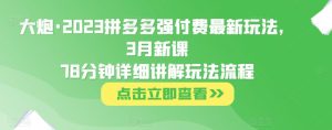 大炮·2023拼多多强付费最新玩法,3月新课78分钟详细讲解玩法流程-网创资源吧