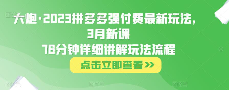 大炮·2023拼多多强付费最新玩法，3月新课​78分钟详细讲解玩法流程-网创资源吧