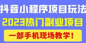 抖音小程序9.0新技巧,2023热门副业项目,动动手指轻松变现-网创资源吧