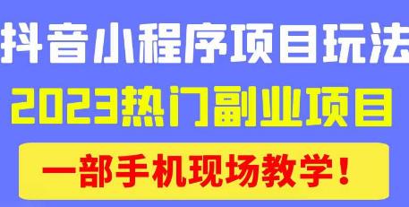 抖音小程序9.0新技巧，2023热门副业项目，动动手指轻松变现-网创资源吧