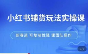 小红书铺货玩法实操课,流量大,竞争小,非常好做,新赛道,可复制性强,可团队操作-网创资源吧