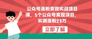 公众号涨粉变现实战项目课，5个公众号变现项目，实测涨粉23万-网创资源吧