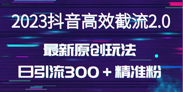 日引300＋创业粉，独家抖音高效截流2.0玩法（价值1280）-网创资源吧
