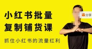 张宾·小红书批量复制铺货课,小红书0-1快速起号变现玩法,抓住小红书的流量红利(更新2023年3月)-网创资源吧