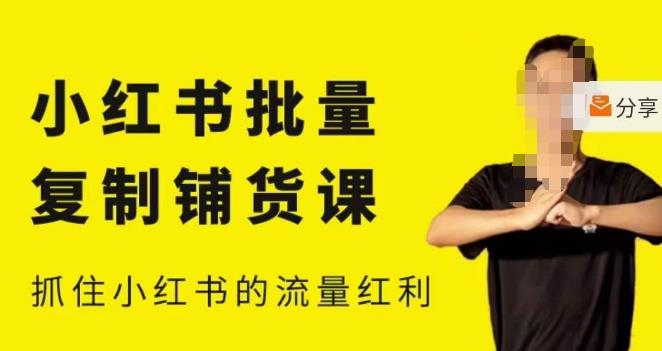 张宾·小红书批量复制铺货课，小红书0-1快速起号变现玩法，抓住小红书的流量红利（更新2023年3月）-网创资源吧