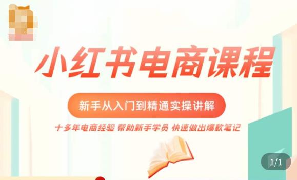 小红书电商新手入门到精通实操课，从入门到精通做爆款笔记，开店运营-网创资源吧