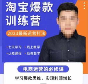 爱上黄昏·淘宝爆款训练营，2023最新运营打法，学习爆款思维，实现利润增长-网创资源吧