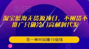 淘宝蓝海无货源项目,不囤货不推广只做冷门高利润代发,花一半时间赚10倍钱-网创资源吧