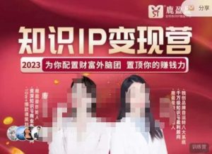 鹿盈盈-知识IP变现实操营,普通人可复制的知识产品落地实操课,带你打通知识IP变现底层逻辑-网创资源吧