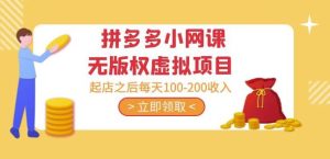 黄岛主·拼多多小网课无版权虚拟项目分享课：起店之后每天100-200收入-网创资源吧