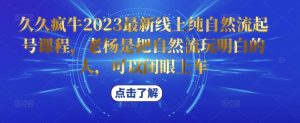 久久疯牛2023最新线上纯自然流起号课程，老杨是把自然流玩明白的人，可以闭眼上车-网创资源吧