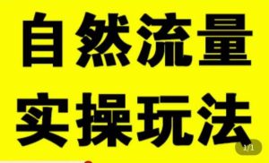 拼多多自然流量天花板,拼多多自然流的实操玩法,自然流量是怎么来的,如何开车带来自然流等知识-网创资源吧