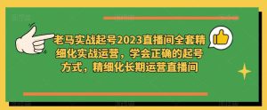 老马实战起号2023直播间全套精细化实战运营，学会正确的起号方式，精细化长期运营直播间-网创资源吧