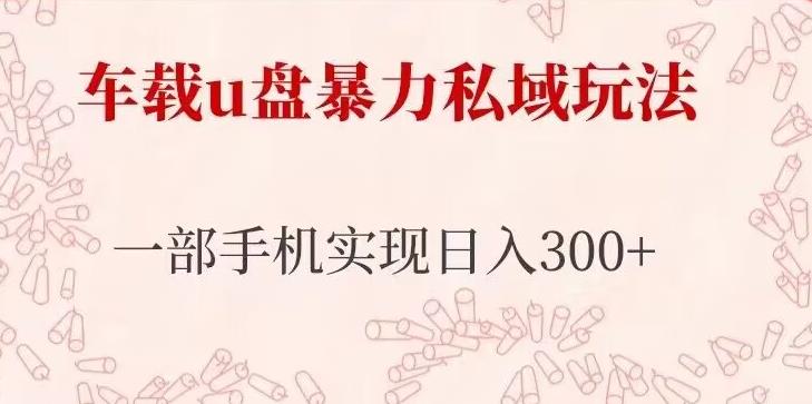 车载u盘暴力私域玩法，长期项目，仅需一部手机实现日入300+-网创资源吧