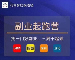 花爷-副业起跑营第2期，挑一门好副业，三周干起来（闲鱼｜小红书｜量化｜套利）-网创资源吧