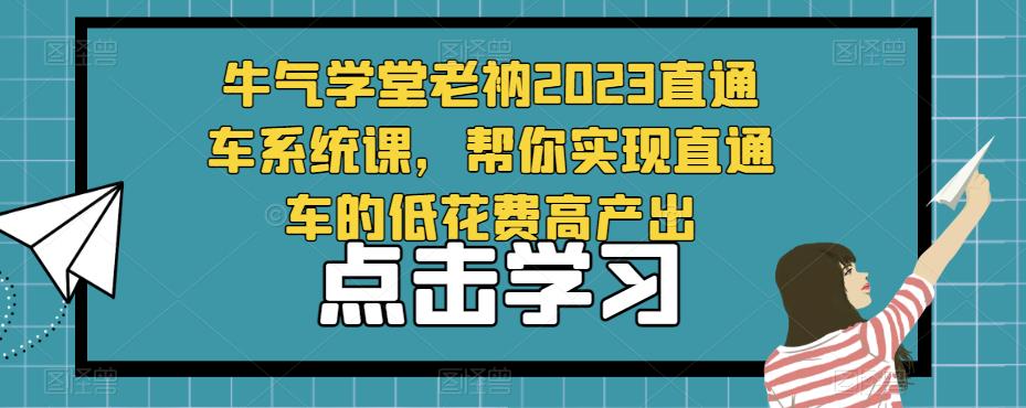 牛气学堂老衲2023直通车系统课，帮你实现直通车的低花费高产出-网创资源吧