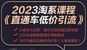 2023直通车低价引流玩法课程，小成本大流量，低价引流快速拉新收割，让你快速掌握直通车突破瓶颈-网创资源吧
