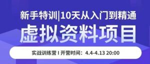 虚拟资料项目新手特训,10天从入门到精通,保姆级实操教学-网创资源吧