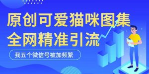 黑科技纯原创可爱猫咪图片,全网精准引流,实操5个VX号被加频繁-网创资源吧