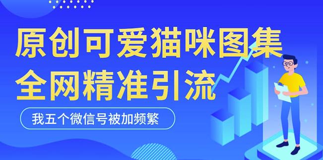 黑科技纯原创可爱猫咪图片，全网精准引流，实操5个VX号被加频繁-网创资源吧