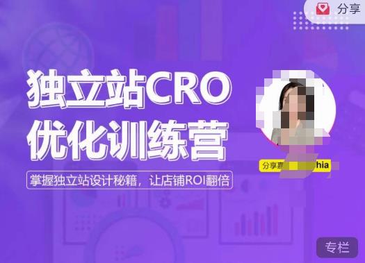 独立站CRO优化训练营，掌握独立站设计秘籍，打造高转化的独立站，让店铺ROI翻倍-网创资源吧