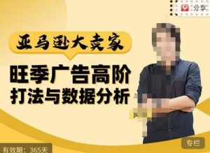 阿甘·亚马逊大卖家广告高阶打法与数据分析，走出传统广告误区；揭秘大卖惯用打法；数据驱动广告决策-网创资源吧