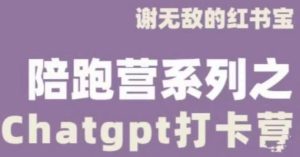 谢无敌ChatGPT打卡营,教你更好地使用ChatGPT来提高工作效率-网创资源吧