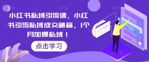 小红书私域引流课,小红书引流私域成交秘籍,1个月加爆私域!-网创资源吧