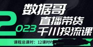 数据哥2023直播电商巨量千川付费投流实操课，快速掌握直播带货运营投放策略-网创资源吧