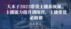 大木子2023带货主播系统课，主播能力提升训练营，主播带货必修课-网创资源吧