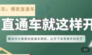 冠东·淘系直通车保姆级教程,全面讲解直通车就那么简单-网创资源吧