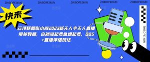 云顶联盟彭小四2023新无人半无人直播带货教程,自然流起号鱼塘起号,OBS+直播伴侣玩法-网创资源吧