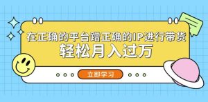 在正确的平台蹭正确的IP进行带货,轻松月入过万-网创资源吧