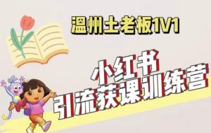 小红书1对1引流获客训练营:账号、内容、引流、成交(价值3999元)-网创资源吧