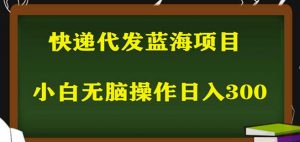 2023最新蓝海快递代发项目,小白零成本照抄也能日入300+-网创资源吧