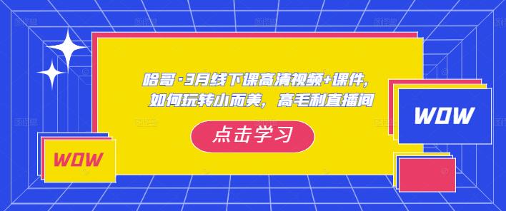 哈哥·3月线下实操课高清视频+课件，如何玩转小而美，高毛利直播间-网创资源吧