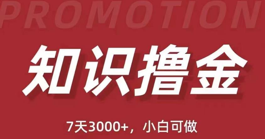 抖音知识撸金项目：简单粗暴日入1000+执行力强当天见收益(教程+资料)-网创资源吧