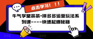 牛气学堂茶茶•拼多多运营玩法系列课—-快速起爆秘籍【更新】-网创资源吧