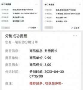 快递代发CPS，月入万元，不起眼却很赚钱的信息差项目【揭秘】-网创资源吧