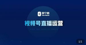 那个腾·视频号直播运营,视频号直播推流逻辑/流量渠道解析/直播起号攻略/直播实操技巧-网创资源吧