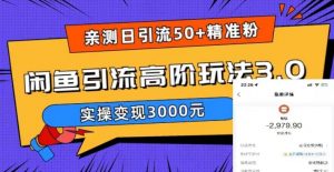 亲测日引50+精准粉，闲鱼引流高阶玩法3.0，实操变现3000元【揭秘】-网创资源吧