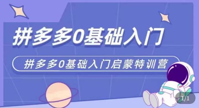 拼多多运营0-1实操特训营，拼多多0基础入门，从基础到进阶的可实操玩法-网创资源吧