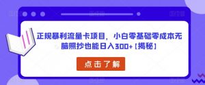 正规暴利流量卡项目,小白零基础零成本无脑照抄也能日入300+【揭秘】-网创资源吧