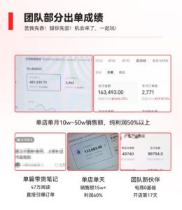 2023小红书电商火爆全网,新晋红利,风口项目,单店收益在3000-30000!-网创资源吧