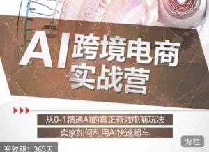 白龙老师·AI跨境电商实战营:从0-1精通Al的真正有效电商玩法,卖家如何利用Al快速超车-网创资源吧