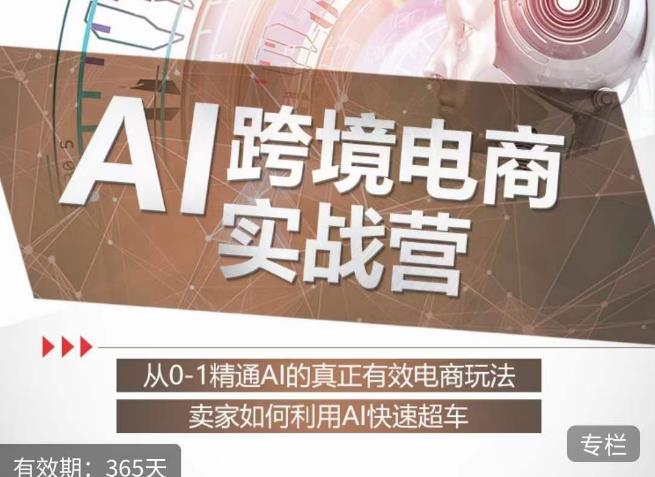 白龙老师·AI跨境电商实战营：从0-1精通Al的真正有效电商玩法，卖家如何利用Al快速超车-网创资源吧
