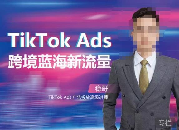 稳哥·如何投出高ROI的TikTok广告，开拓独立站卖家流量新蓝海-网创资源吧