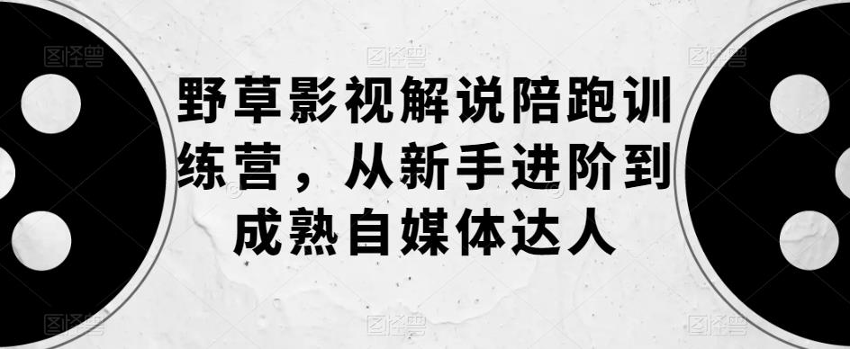 野草影视解说陪跑训练营，从新手进阶到成熟自媒体达人-网创资源吧